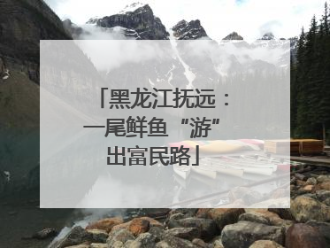黑龙江抚远：一尾鲜鱼“游”出富民路