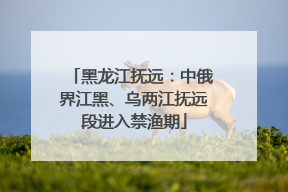 黑龙江抚远：中俄界江黑、乌两江抚远段进入禁渔期
