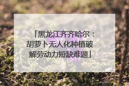 黑龙江齐齐哈尔：胡萝卜无人化种植破解劳动力短缺难题