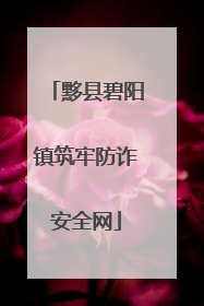 黟县碧阳镇筑牢防诈安全网