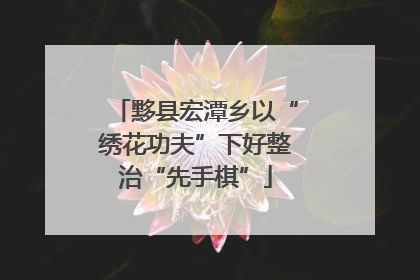 黟县宏潭乡以“绣花功夫”下好整治“先手棋”