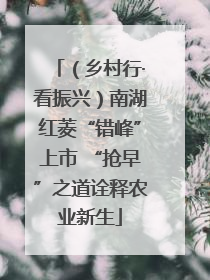 （乡村行·看振兴）南湖红菱“错峰”上市 “抢早”之道诠释农业新生