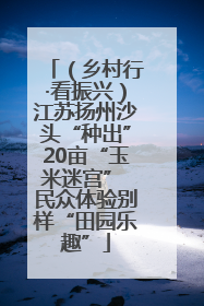 （乡村行·看振兴）江苏扬州沙头“种出”20亩“玉米迷宫” 民众体验别样“田园乐趣”