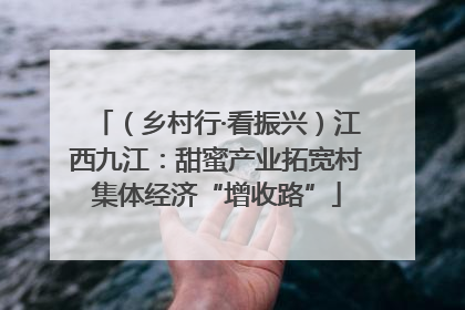 （乡村行·看振兴）江西九江：甜蜜产业拓宽村集体经济“增收路”