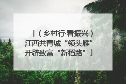 （乡村行·看振兴）江西共青城“领头雁”开辟致富“新稻路”