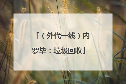 （外代一线）内罗毕：垃圾回收