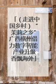（走进中国乡村）“茉莉之乡”广西横州借力数字智能 产业升级香飘海外