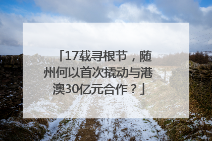 17载寻根节，随州何以首次撬动与港澳30亿元合作？
