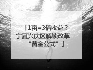 1亩=3倍收益？宁夏兴庆区解锁改革“黄金公式”