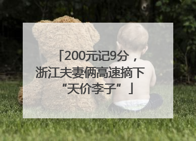 200元记9分，浙江夫妻俩高速摘下“天价李子”