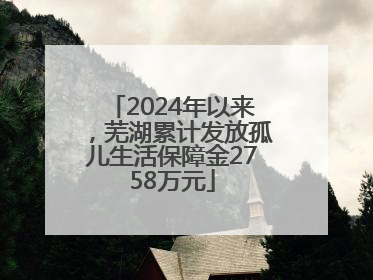 2024年以来，芜湖累计发放孤儿生活保障金2758万元