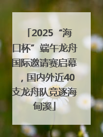 2025“海口杯”端午龙舟国际邀请赛启幕，国内外近40支龙舟队竞逐海甸溪
