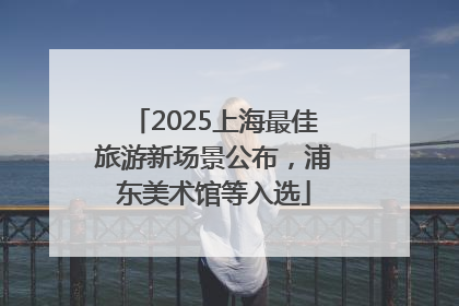 2025上海最佳旅游新场景公布，浦东美术馆等入选