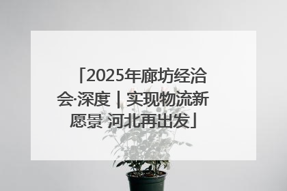 2025年廊坊经洽会·深度｜实现物流新愿景 河北再出发