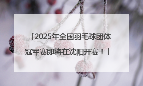 2025年全国羽毛球团体冠军赛即将在沈阳开赛！