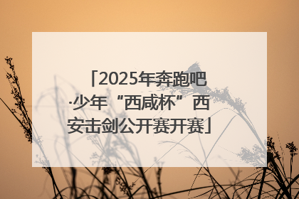 2025年奔跑吧·少年“西咸杯”西安击剑公开赛开赛
