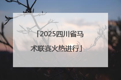 2025四川省马术联赛火热进行