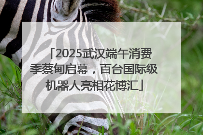 2025武汉端午消费季蔡甸启幕，百台国际级机器人亮相花博汇