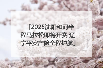 2025沈阳和河半程马拉松即将开赛 辽宁平安产险全程护航