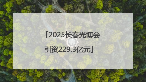 2025长春光博会引资229.3亿元