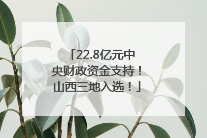 22.8亿元中央财政资金支持！山西三地入选！