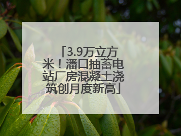 3.9万立方米！潘口抽蓄电站厂房混凝土浇筑创月度新高