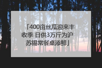 400亩丝瓜迎来丰收季 日供3万斤为沪苏锡常餐桌添鲜
