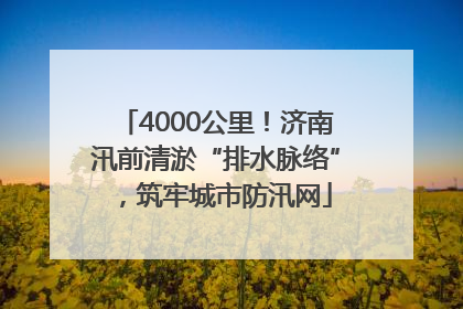 4000公里！济南汛前清淤“排水脉络”，筑牢城市防汛网