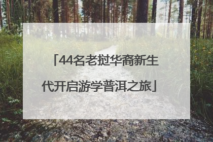 44名老挝华裔新生代开启游学普洱之旅