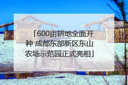 600亩耕地全面开种 成都东部新区东山农场示范园正式亮相