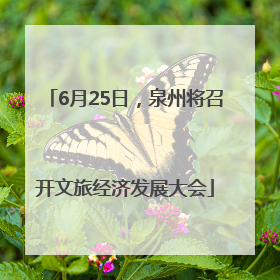 6月25日，泉州将召开文旅经济发展大会