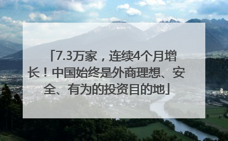 7.3万家，连续4个月增长！中国始终是外商理想、安全、有为的投资目的地