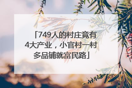 749人的村庄竟有4大产业，小官村一村多品铺就富民路