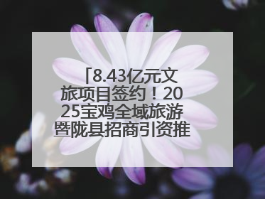 8.43亿元文旅项目签约！2025宝鸡全域旅游暨陇县招商引资推介会在西安举办