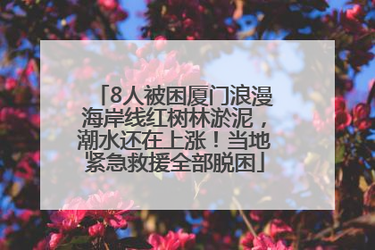8人被困厦门浪漫海岸线红树林淤泥，潮水还在上涨！当地紧急救援全部脱困