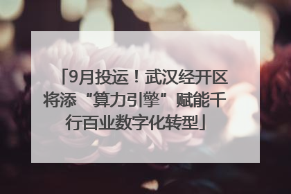 9月投运！武汉经开区将添“算力引擎”赋能千行百业数字化转型