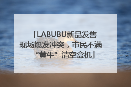 LABUBU新品发售现场爆发冲突，市民不满“黄牛”清空盒机