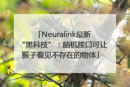 Neuralink最新“黑科技”：脑机接口可让猴子看见不存在的物体